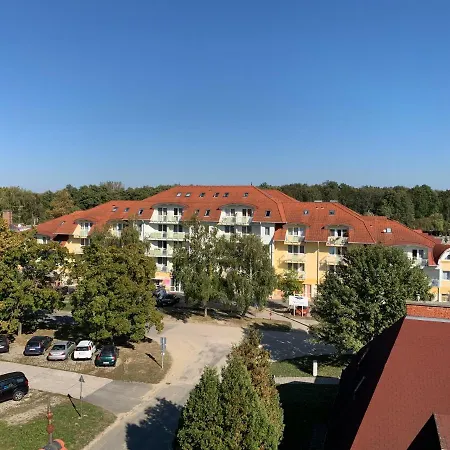 Dorka *