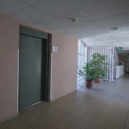 Dorka * زلاكاروس